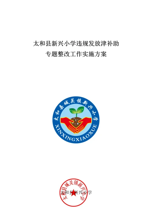 太和县新兴小学违规发放津补贴专项整治工作的实施专业方案.docx