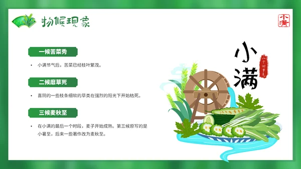 绿意春天小满时节二十四节气通用PPT模板