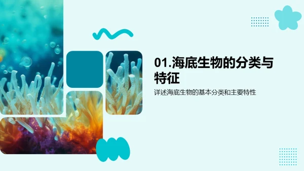 探秘海底生物