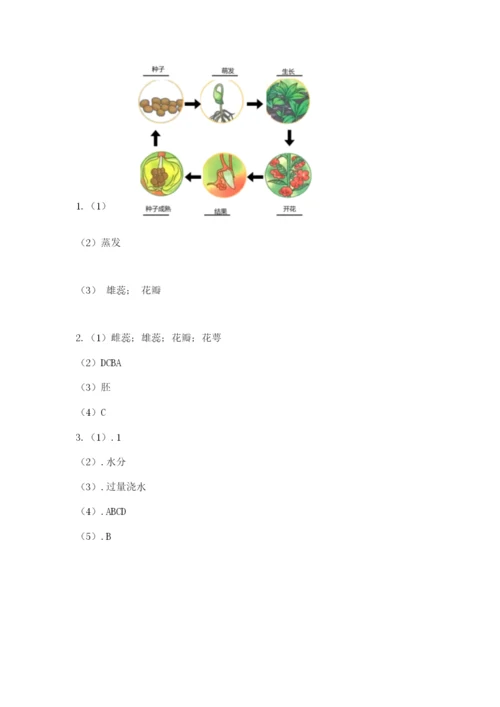 科学四年级下册第一单元植物的生长变化测试卷（精华版）.docx