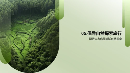 生态漫游：探索与认知