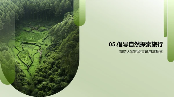 生态漫游：探索与认知
