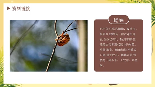 部编版语文六年级下册《表里的生物》