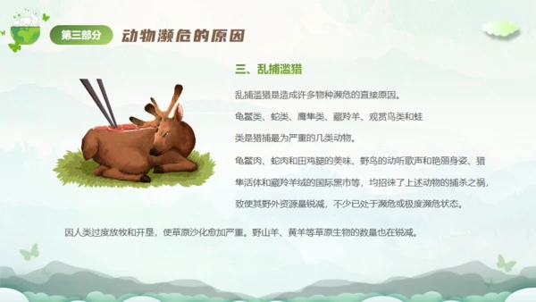 保护濒危动物，拯救美好生命通用PPT模板
