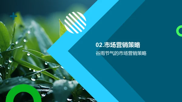 谷雨营销策略