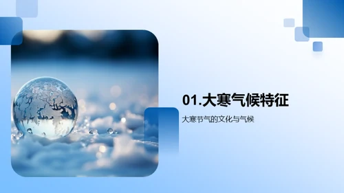 大寒与全球气候变迁