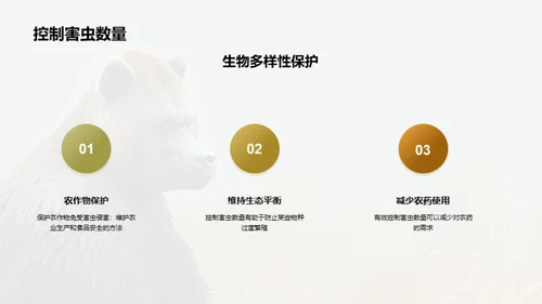 简约风其他行业教学课件PPT模板