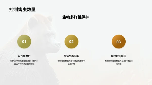 简约风其他行业教学课件PPT模板