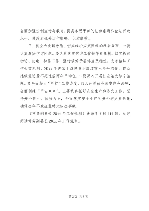 常务副县长工作规划.docx
