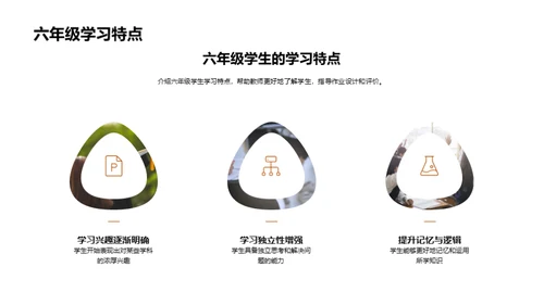 优化六年级作业策略