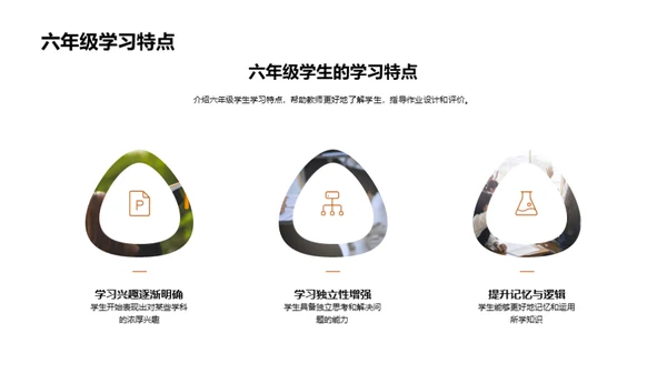 优化六年级作业策略