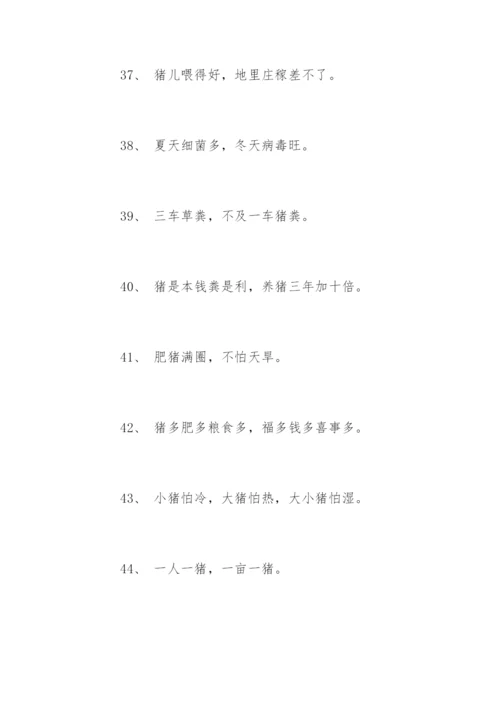 养猪的谚语.docx