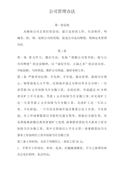 公司管理办法.docx