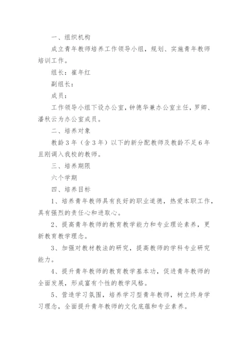 青年教师培养计划.docx