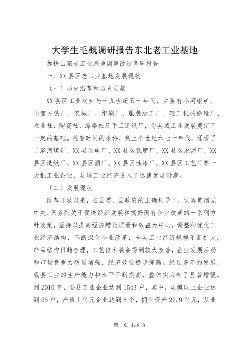 大学生毛概调研报告东北老工业基地.docx