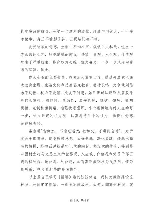 《镜鉴》读后感 (4).docx