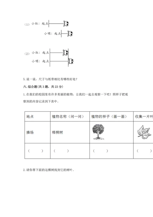 教科版一年级上册科学期末测试卷带答案（夺分金卷）.docx