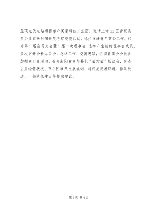 乡镇团委青年工作总结.docx