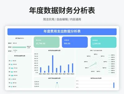 年度数据财务分析表
