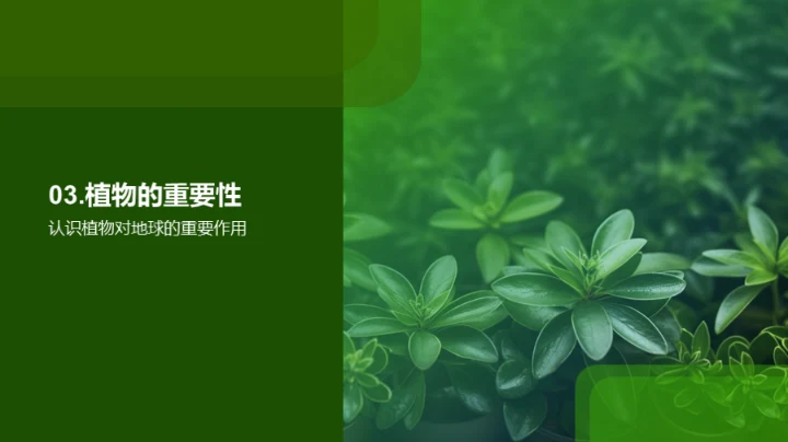 探索植物的奥秘