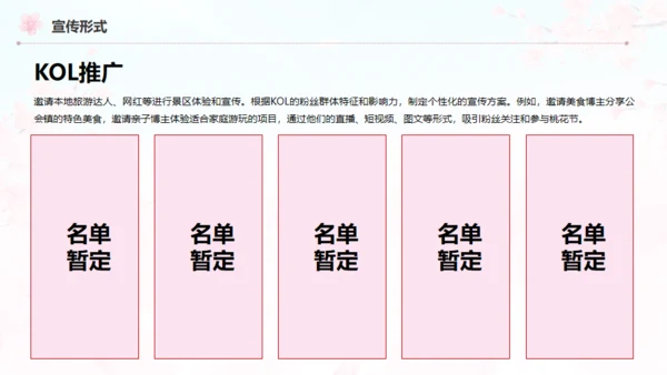 小镇桃花节策划方案通用PPT