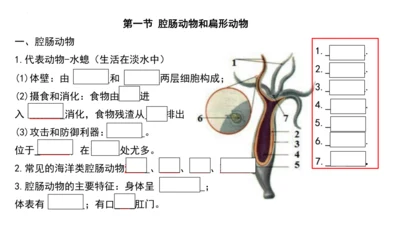 人教版生物八年级上册期末考试知识点汇总（课件）(共28张PPT)