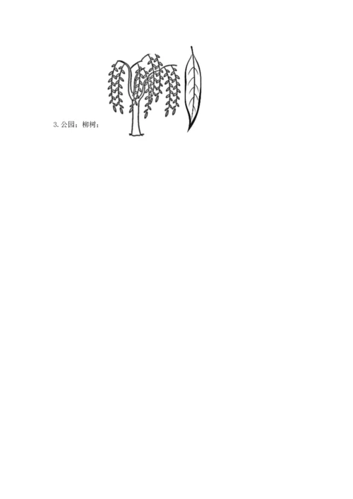 教科版科学一年级上册第一单元《植物》测试卷（考试直接用）word版.docx