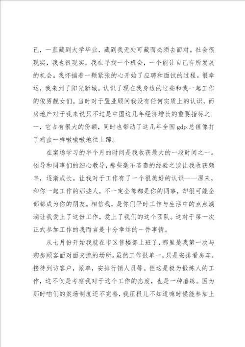 房地产置业顾问工作总结4篇