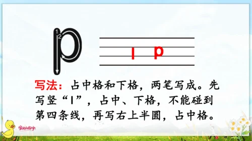 汉语拼音3  b p m f 课件