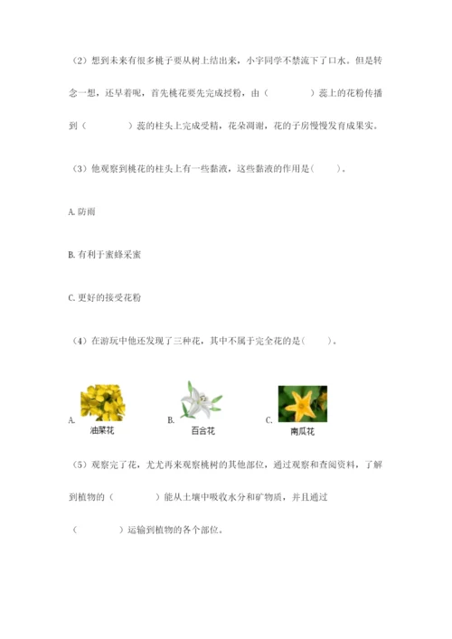 教科版四年级下册科学第三单元岩石与土壤测试卷带答案（基础题）.docx