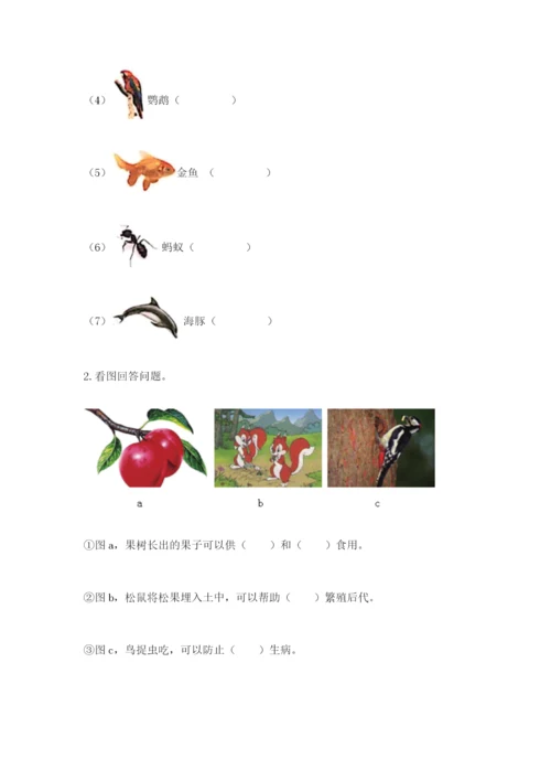 教科版科学二年级上册期末考试试卷（名师系列）.docx