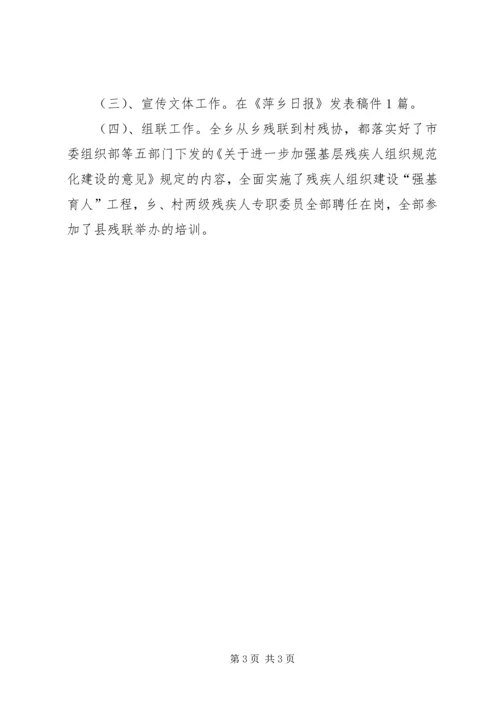 乡镇民政残联工作总结.docx