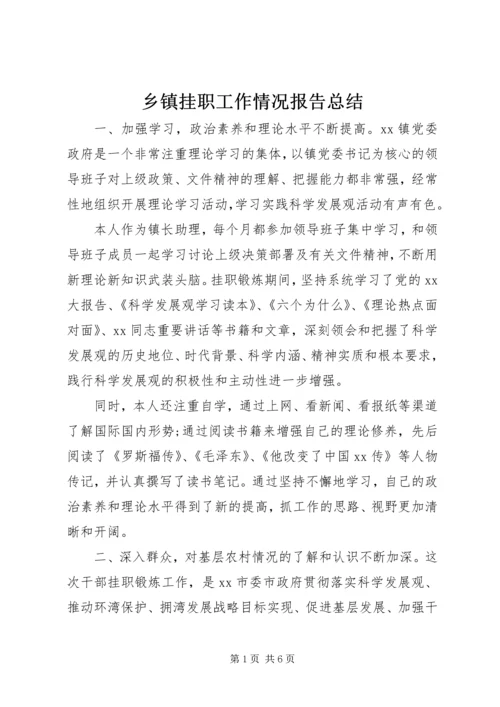 乡镇挂职工作情况报告总结.docx