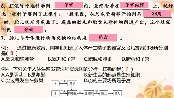 人教版（新课标）七下生物第四单元第一至三章复习课件(共34张PPT)