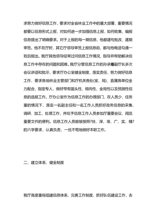 政务督查工作总结.docx
