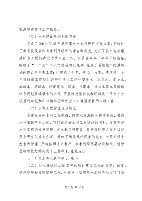 水电局上年总结和下年计划.docx