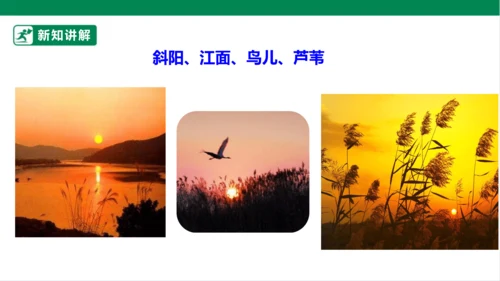 3.现代诗二首 秋晚的江上 课件