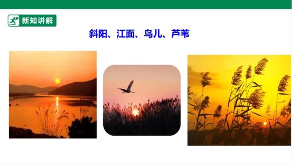 3.现代诗二首 秋晚的江上 课件