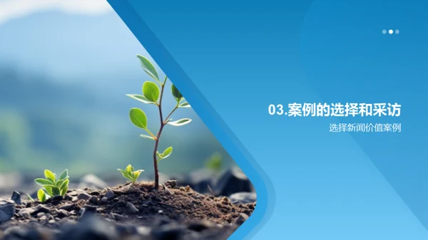 植树节深度报道研究