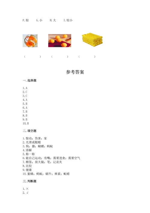 教科版一年级下册科学期末测试卷精品（综合题）.docx