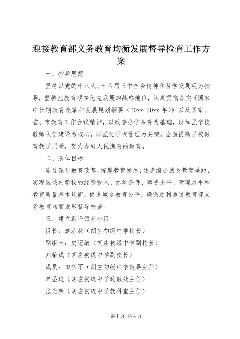 迎接教育部义务教育均衡发展督导检查工作方案.docx