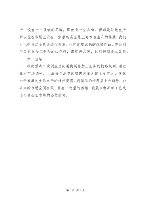 县级项目管理调研报告 (5).docx