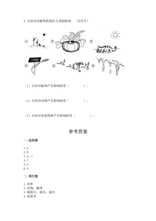 教科版二年级上册科学期末测试卷加解析答案.docx