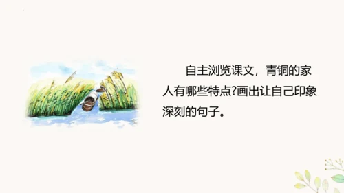 第21课《芦花鞋》（教学课件 ）