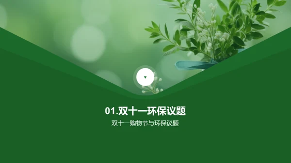 双十一环保行动