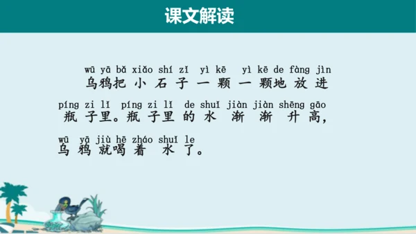 课文13《乌鸦喝水》课件