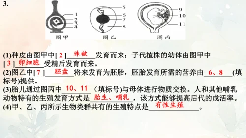 八年级下册第一章综合复习与测试课件(共16张PPT)人教版