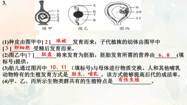 八年级下册第一章综合复习与测试课件(共16张PPT)人教版