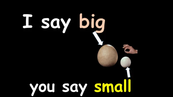 Module 5 Unit 2 It's too big for you 课件(共40张PPT)
