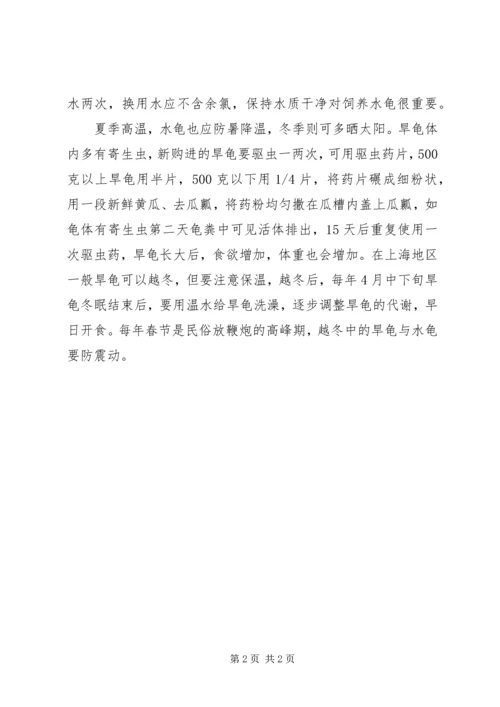 养缅甸陆龟的经验 (2).docx